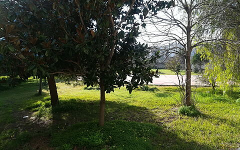 Noemi'S House in Otranto: Hoja, Arbusto, El Maletero, Plantas Leñosas, Jardín, Sombra, Paisajismo, Césped, Yarda, Parque