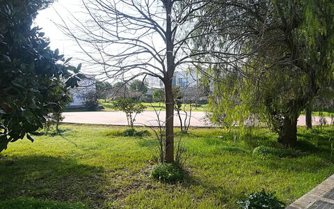 Noemi'S House in Otranto: Hoja, Hierba, Rama, Verde, Naturaleza, Vegetación, Arbusto, Jardín, El Maletero, Ramita
