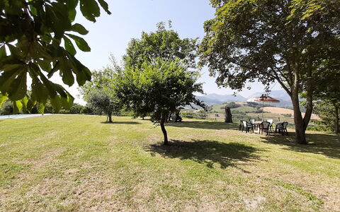 Villa Felice, Private Pool and Hills: Árbol, Hierba, Rama, Llanura, Paisaje, Pradera, El Terreno Del Lote, Luz De Sol, Césped, Prado