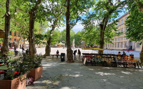Casa Elena 13: Árbol, Superficie De La Carretera, Espacio Publico, Barrio, Calle, Sombra, Plaza De La Ciudad, Plaza, Mueble Para Exteriores, Estacionamiento