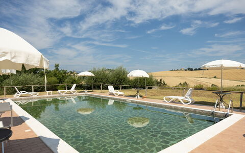 Il Giuncheto Apartments, Pool, Umbrian Countryside: Piscina, Mueble Para Exteriores, Silla, Sunlounger, Paisajismo, Recurso, Villa, Paraguas