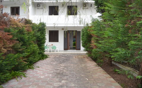 Amanda: Jardín, Yarda, Patio Interior, Hojas Perennes