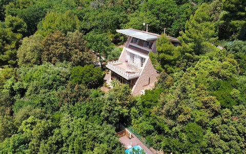 Villa Sole - Exclusive Villa al Conero con Piscina: Vegetación, Casa, Inmuebles, Cabaña, Selva, Eco Hotel, Villa, Hojas Perennes, Mansión, Balcón