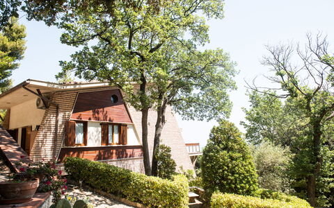 Villa Sole - Exclusive Villa al Conero con Piscina: Hoja, Arbusto, Barrio Residencial, Casa, Cabaña, Jardín, Primavera, Inmuebles, Paisajismo, Yarda