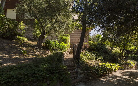 Villa Sole - Exclusive Villa al Conero con Piscina: Hoja, Rama, Naturaleza, Vegetación, Arbusto, Jardín, Planta De La Comunidad, Paisaje, Ramita