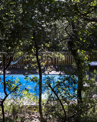 Villa Sole - Exclusive Villa al Conero con Piscina: Azul, Naturaleza, Hoja, Rama, Piscina, Sombra, Luz De Sol, Ramita, Jardín, Patio Interior