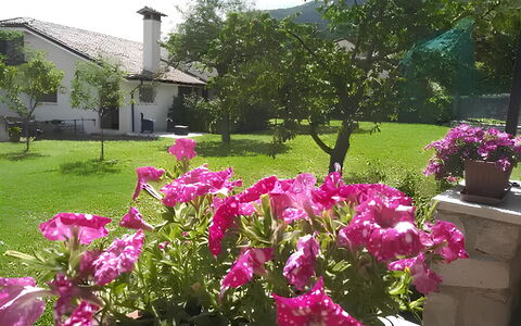 La Corte di Marga - Casa Gustet: Flor, Pétalo, Rosado, Arbusto, Jardín, Primavera, Cobertura Del Suelo, Planta Floreciendo, Púrpura