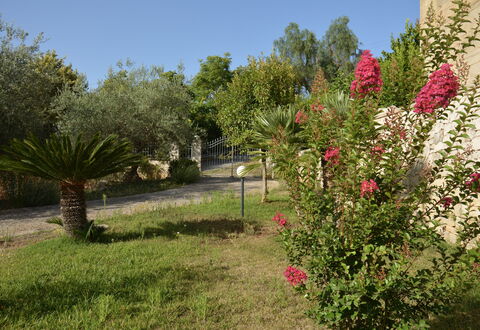 Villa del Monte: Flor, Arbusto, Jardín, Rosado, Primavera, Planta Floreciendo, Paisajismo, Jardín Botánico, Yarda