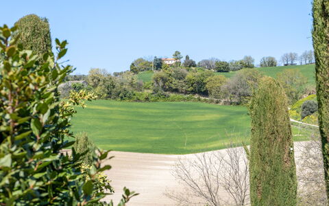 Serafini Holiday Home: Verde, Arbusto, Pradera, Paisaje, El Terreno Del Lote, Llanura, Jardín, Prado, Césped, Pasto