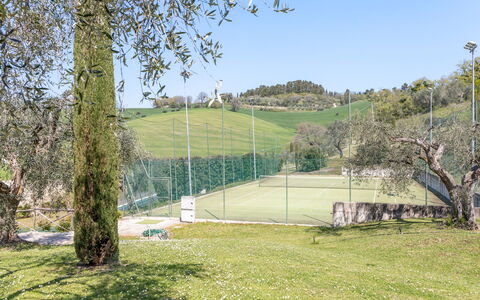 Serafini Holiday Home: Árbol, El Terreno Del Lote, Pista De Tenis, Césped, Jardín, Sombra, Paisajismo, Parque, Cerca