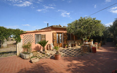 Ranch Salomonello: Maceta, Arbusto, Puerta, Planta De Casa, Hacienda, Sombra, Yarda, Paisajismo, Patio Interior