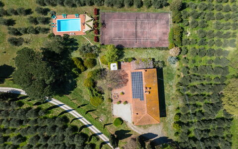 Il Leccio, Vinci, Private Pool and Tennis: Árbol, Paisaje, El Terreno Del Lote, Inmuebles, Plantación, Jardín, Paisajismo, Vista Panorámica, Césped, Parque