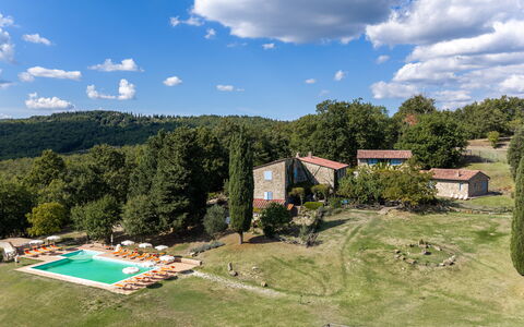 Casa Stella Serena, Casole D'Elsa, Pool: Árbol, Paisaje, Pradera, Llanura, El Terreno Del Lote, Área Rural, Inmuebles, Prado, Cabaña, Césped