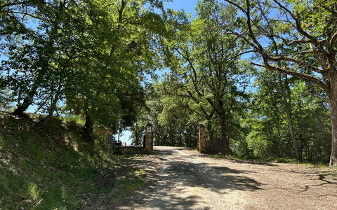 Casa Stella Serena, Casole D'Elsa, Pool: Rama, Hoja, Árbol, Entorno Natural, Naturaleza, Madera, Vegetación, Paisaje Natural, La Carretera, Sendero