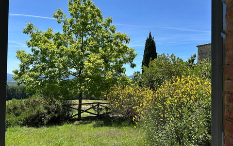 Casa Stella Serena, Casole D'Elsa, Pool: Verde, Hoja, Vegetación, Arbusto, Planta De La Comunidad, Plantas Leñosas, Jardín, Sombra, Paisajismo, Plantación