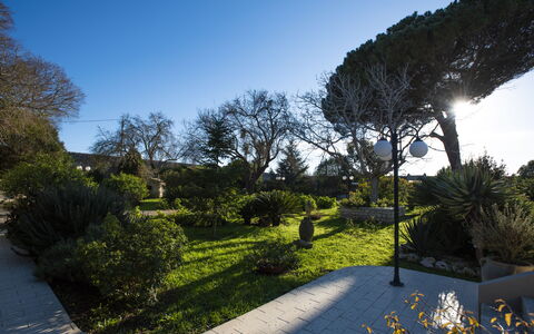 Tenuta Renna: Hoja, Verde, Naturaleza, Árbol, Vegetación, Rama, Arbusto, Paisaje, Jardín