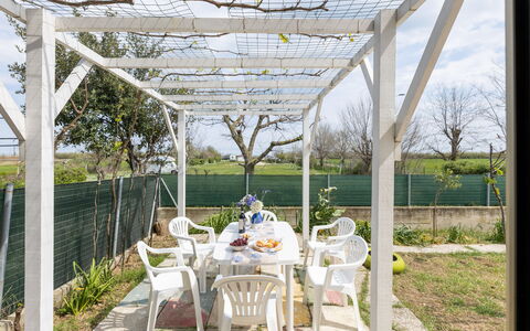 Casa di Lilia: Sombra, Jardín, Estructura Al Aire Libre, Pérgola, Paisajismo, Patio Interior, Yarda, Pabellón, La Luz Del Día, Edificios Del Jardín