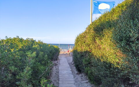 Villa Margherita: Azul, Mar, Oceano, Playa, Costa, Luz De Sol, Ocio, Apuntalar, Zona Tropical