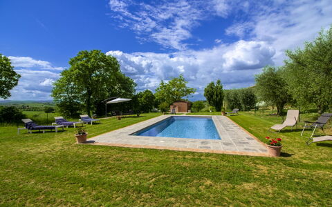 Gli Ulivi: Jardín, Piscina, Inmuebles, Césped, Paisajismo, Sombra, Casa De Campo, Yarda, Parque, Hacienda