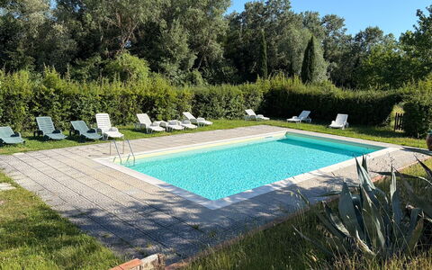 Civico108 Vacation Home, Pool, Castellina in Chian: Piscina, Mueble Para Exteriores, Jardín, Recurso, Patio Interior, Césped, Inmuebles, Sombra, Paisajismo, Yarda