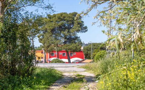 Casale Oleandro Marino: Árbol, Rojo, Arbusto, El Terreno Del Lote, Sombra, Paisajismo, Entrada De Coches