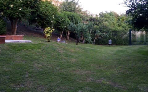 Casale Oleandro Marino: Hierba, Hoja, Paisaje, Jardín, Césped, El Terreno Del Lote, Cobertura Del Suelo, Primavera, Yarda