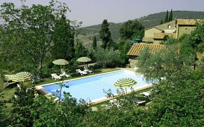 Borgo del Castagno - Cortona, Toscana, Italia - Castagno 1