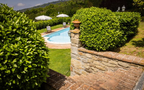 Casa Ivan: Arbusto, Jardín, Cobertura Del Suelo, Cobertura, Paisajismo, Césped, Patio Interior, Piscina, Yarda, Eco Hotel
