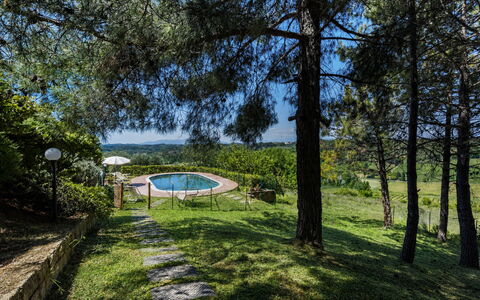 Villa Quintino: Azul, Sombra, Paisajismo, Parque, Piscina