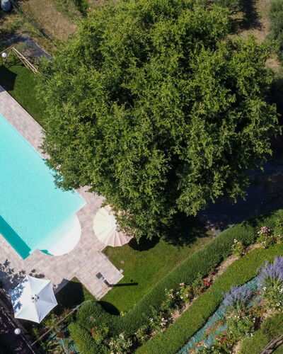 Casa dei Nonni: Piscina, Jardín, Ocio, Recurso, Césped, Inmuebles, Patio Interior, Paisajismo, Sombra, Yarda