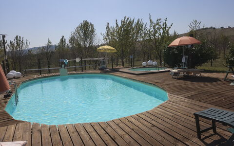 Casale dei Ciliegi: Piscina, Mueble, Mueble Para Exteriores, Material Compuesto, Recurso, Silla, Cubierta, Ocio, Eco Hotel, Sombra