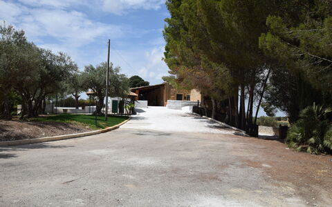 Villa Chiaramonte Gulfi: Árbol, Superficie De La Carretera, Entrada De Coches, Sombra, Paisajismo, Hacienda, Sombra, Camino