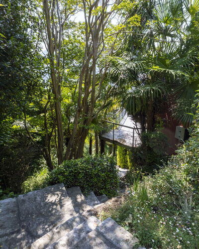 Max: Verde, Hoja, Vegetación, Arbusto, Planta De La Comunidad, Primavera, Plantas Leñosas, Jardín, Selva, Valdiviano Bosque Templado Lluvia