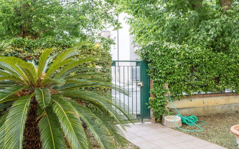 Corte Marina Apartment: Verde, Hoja, Vegetación, Arbusto, Plantas Leñosas, Jardín, Sombra, Paisajismo, Hojas Perennes