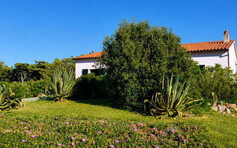 Villa Vignola: Flor, Vegetación, Arbusto, Jardín, Planta De La Comunidad, Cobertura Del Suelo, Prado, Paisajismo, Planta Herbácea