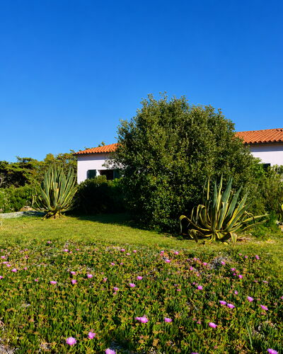 Villa Vignola: Flor, Vegetación, Arbusto, Jardín, Planta De La Comunidad, Cobertura Del Suelo, Prado, Paisajismo, Planta Herbácea