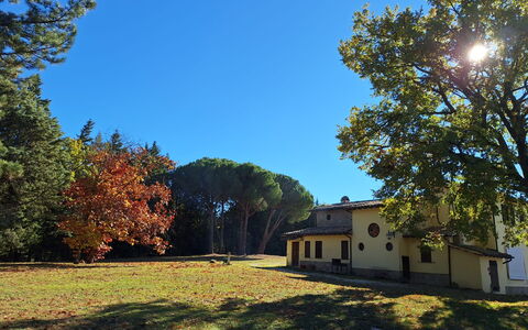 House in the Woods, Pool and Relax in Umbria: Árbol, Hierba, Hoja, Rama, Casa, Casa, Llanura, El Terreno Del Lote, Césped, El Maletero