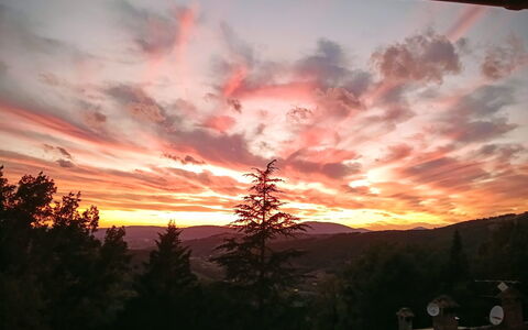 House in the Woods, Pool and Relax in Umbria: Cielo, Resplandor Crepuscular, Naturaleza, Nube, Puesta De Sol, Rama, Oscuridad, Horizonte, Naranja, Amanecer
