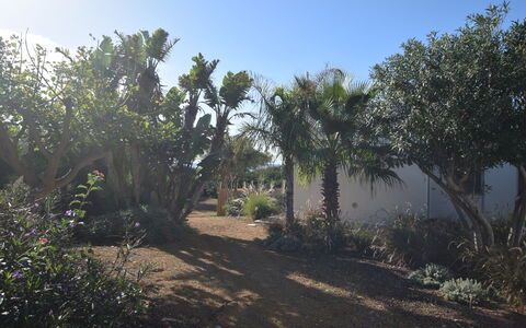 Punta Braccetto Fronte Mare: Hoja, Vegetación, Arbusto, Jardín, Planta De La Comunidad, Plantas Leñosas, Suelo, Paisajismo, Jardín Botánico