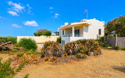 Punta Braccetto Fronte Mare: Cielo, Azul, Verde, Vegetación, Arbusto, Verano, Planta De La Comunidad, Shrubland, Paisajismo