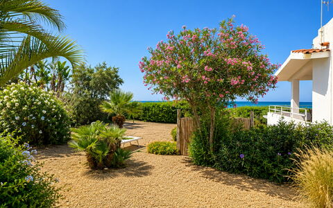 Punta Braccetto Fronte Mare: Flor, Verde, Arbusto, Jardín, Planta De La Comunidad, Cobertura Del Suelo, Paisajismo, Pasarela, Jardín Botánico