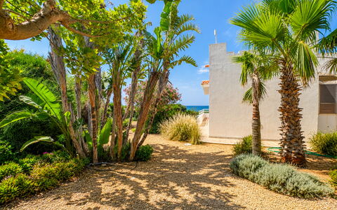 Punta Braccetto Fronte Mare: Verde, Vegetación, Arbusto, Paisaje, Jardín, Paisajismo, Pasarela, Sombra