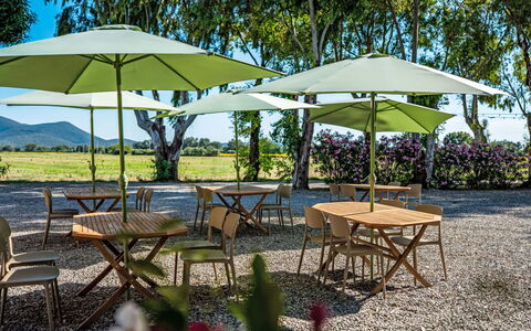 Grosseto 830: Mueble, Paraguas, Mueble Para Exteriores, Mesa Al Aire Libre, Mesa, Sombra, Silla, Jardín, Cocina Y Comedor Mesa, Césped