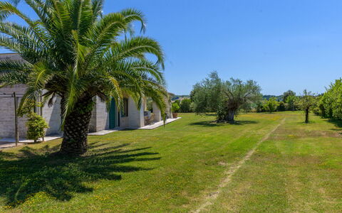 La Sorgente: Arbusto, Jardín, Plantas Leñosas, Césped, Paisajismo, Inmuebles, Entrada De Coches, Hacienda, Sombra