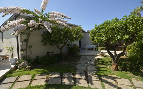 Villa Benvenuti al Sud: Jardín, Sombra, Patio Interior, Paisajismo, Yarda, Losa, Pasarela, Patio, Estructura Al Aire Libre