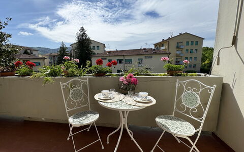 Alle Gardenie: Mueble, Mesa, Silla, Mesa Al Aire Libre, Mueble Para Exteriores, Mesa De Café, Maceta, Planta De Casa, Balcón, Cocina Y Comedor Mesa