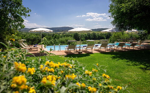 Villa Santa Barbara, Pool and Relax, Siena Country: Recurso, Mueble Para Exteriores, Jardín, Piscina, Eco Hotel, Sombra, Paisajismo, Sunlounger, Inmuebles, Plantación