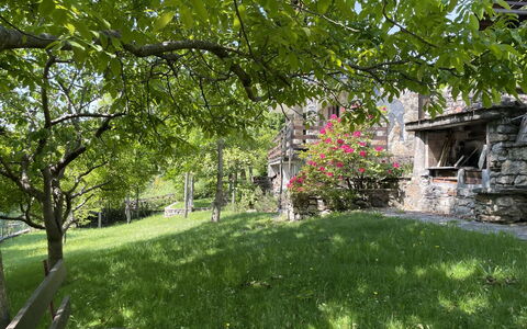Il Cervo: Arbusto, Jardín, Área Rural, Cobertura Del Suelo, Primavera, Césped, Cabaña, Yarda, Patio Interior