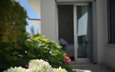 Villa Mulberry Garden - Esclusiva con Piscina Priv: Flor, Pétalo, Planta Floreciendo, Jardín, Paisajismo, La Luz Del Día, Hydrangeaceae, Hortensia, Balcón