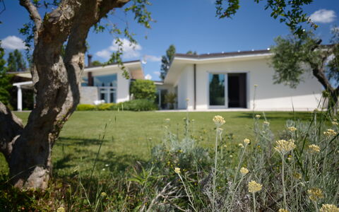 Villa Mulberry Garden - Esclusiva con Piscina Priv: Casa, Arbusto, Barrio Residencial, El Terreno Del Lote, Césped, Inmuebles, Jardín, Cabaña, Sombra, Paisajismo
